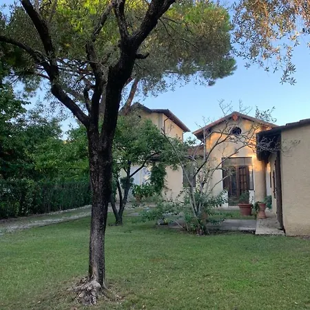 Il Pozzetto Apartment Pietrasanta